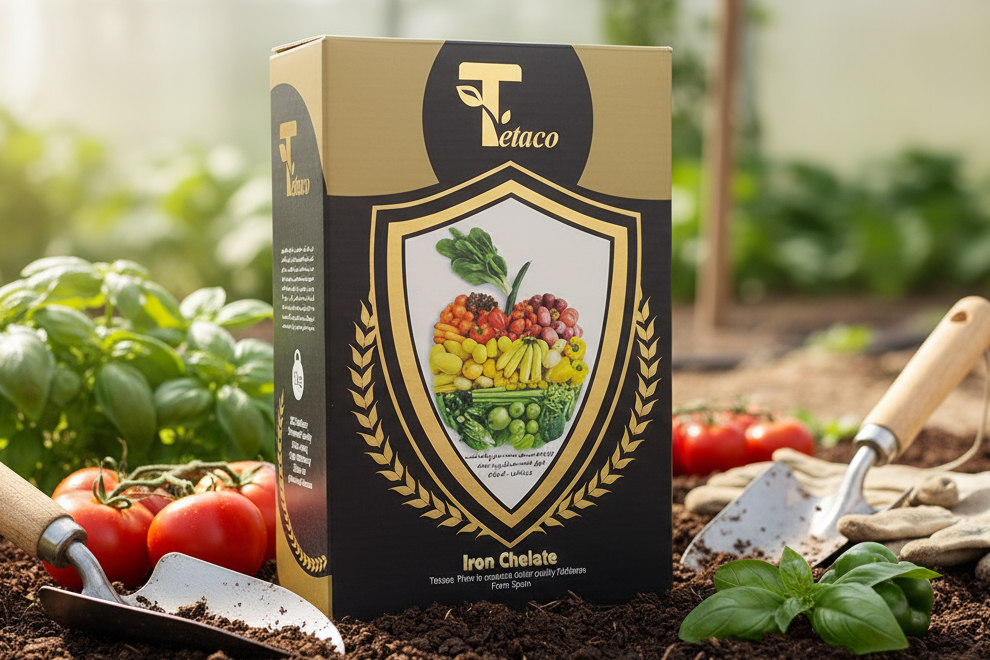 جعبه با چاپ طلاکوب درخشان و لوگو برجسته برای برندهای لوکس